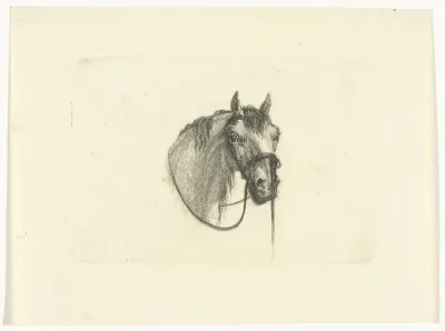 Paardenhoofd, iets naar rechts