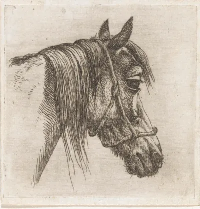 Paardenhoofd met halster