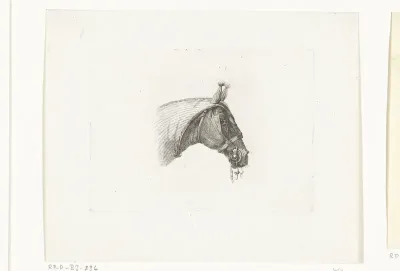 Paardenhoofd met hoofdbedekking, naar rechts