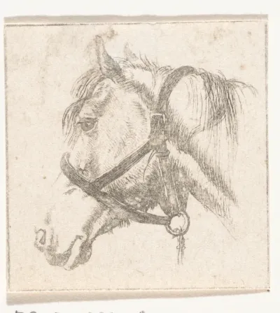 Paardenhoofd met hoofdstel