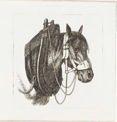 Paardenhoofd met hoofdstel en gareel