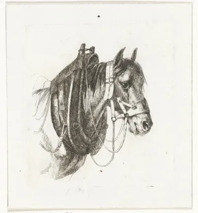 Paardenhoofd met hoofdstel, gareel en zadel