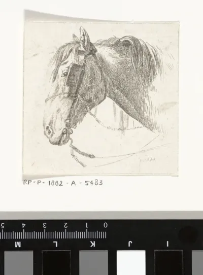 Paardenhoofd met hoofdstel met oogkleppen