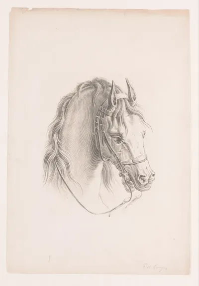 Paardenhoofd met hoofdstel
