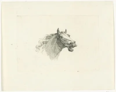 Paardenhoofd met open bek, naar rechts