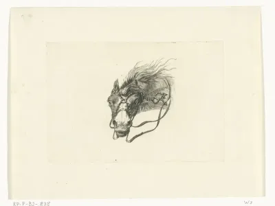 Paardenhoofd met wapperende manen
