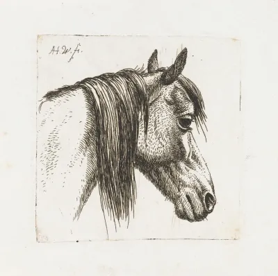 Paardenhoofd naar rechts