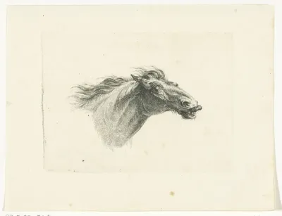 Paardenhoofd, naar rechts