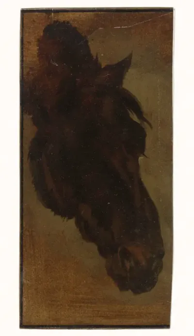 Paardenhoofd