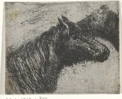 Paardenhoofden