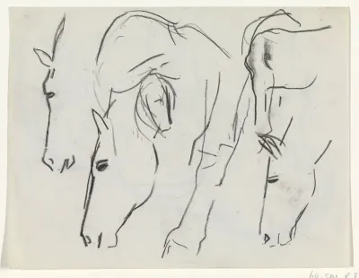 Paardenhoofden