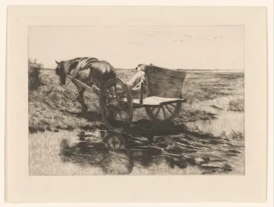 Paardenkar op de heide