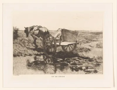 Paardenkar op de heide