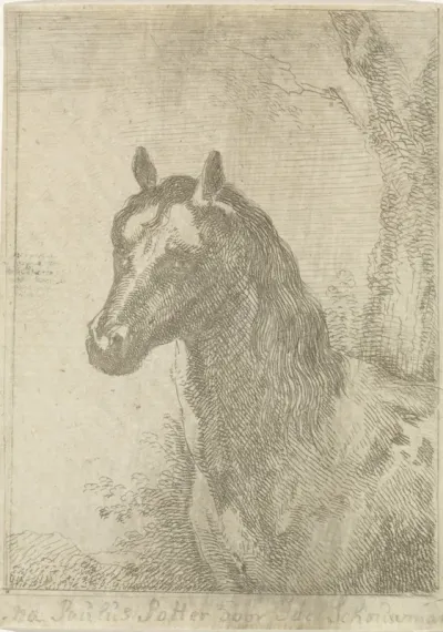 Paardenkop