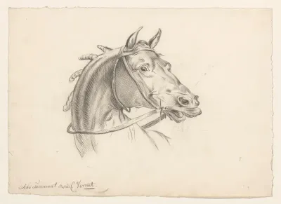 Paardenkop, naar rechts