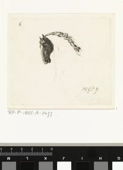 Paardenkop
