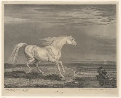 Paardenportret van Marengo