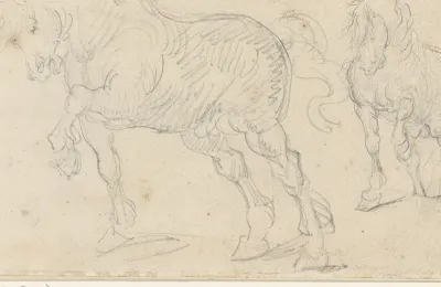 Paardenstudies