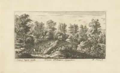 Pad door bosachtig landschap
