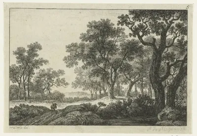 Pad door het bos