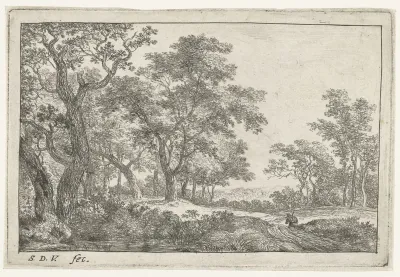 Pad door het bos