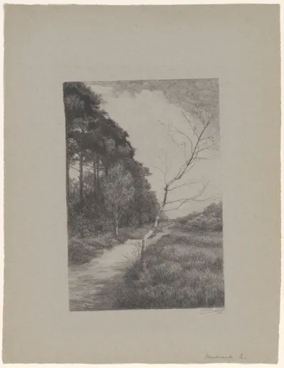Pad langs bomen