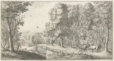 Pad langs het bos
