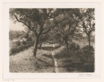 Pad met aangrenzende bomen