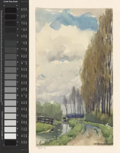 Pad met hoge bomen langs een sloot