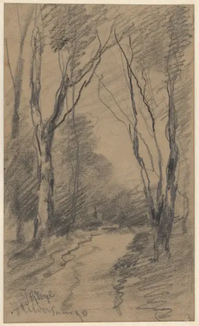 Pad tussen de bomen te Hilversum