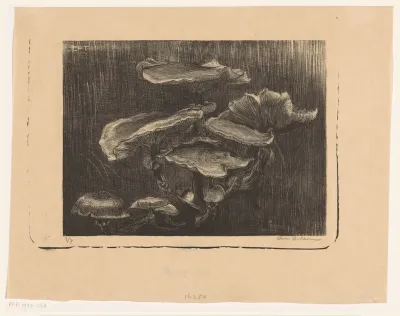 Paddenstoelen