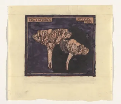Paddenstoelen