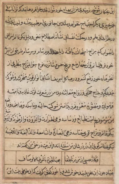 Page from Tales of a Parrot (Tuti-nama): text page