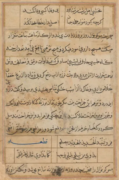 Page from Tales of a Parrot (Tuti-nama): text page