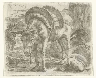 Pakezel