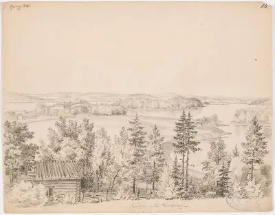 Palikainen Painionjärven rannalla