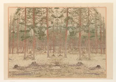 Pallas - Tunturi