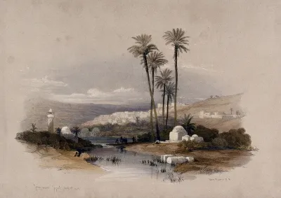 Palm trees at Jenin, possibly the site of ancient Jezreel