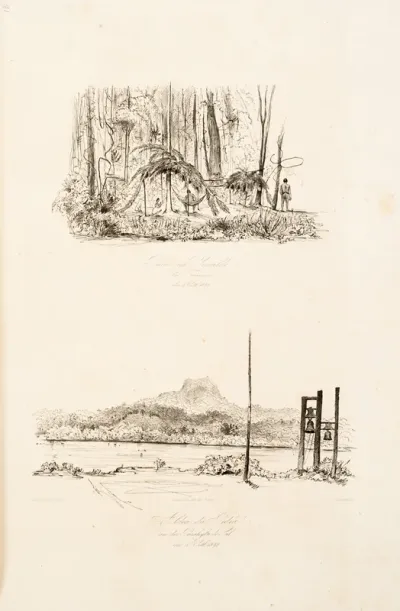 Palme auf dem Wege zur Gavia den 21 tem, Octb. 1842 - Die Gavia von Boa vista aus den 21 October 1842