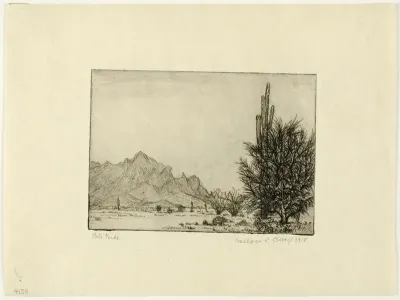 Palo Verde