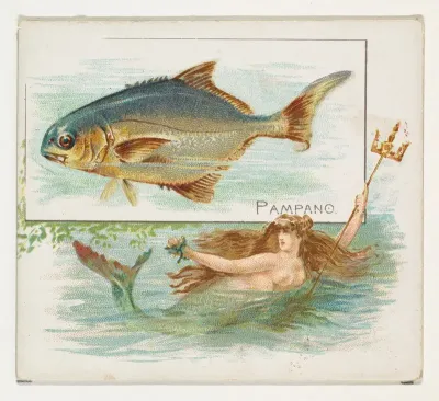 Pampano, from Fish from American Waters series (N39) for Allen & Ginter Cigarettes