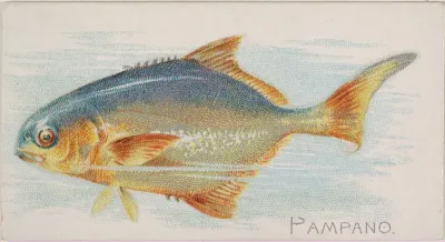 Pampano, from the Fish from American Waters series (N8) for Allen & Ginter Cigarettes Brands