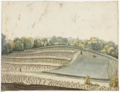 Panorama van een golvend graanveld van boven gezien