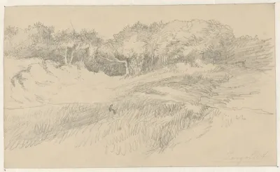 Panorama van landschap