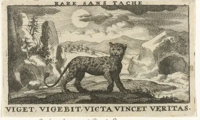 Panter in een landschap