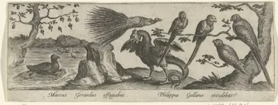 Papegaaien en fabeldieren
