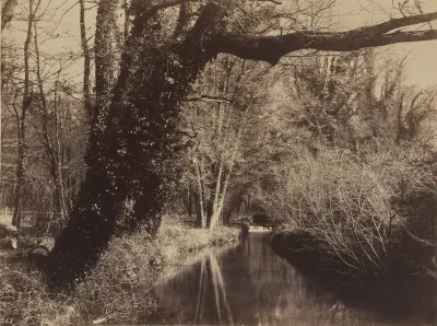 Parc de Courances