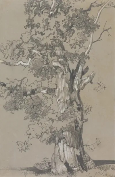 Parham, 13 October