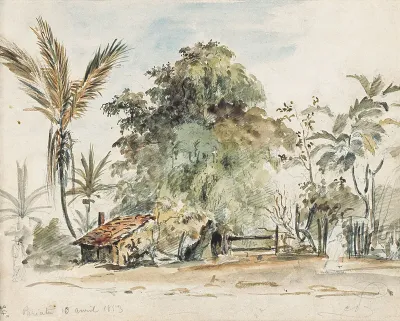 Pariata