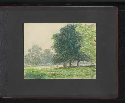 Park met bomen